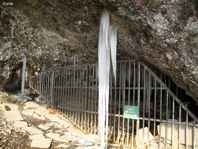 雪景色 北海道 冬 道東 羅臼 マッカウス洞窟(ヒカリゴケ) 氷筍